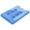 Rezerve De Racire HDPE-Ice Pack Dimensiuni 280 X 190 X 26 mm, Greutate 1260 gr-Rezerve HDPE & PCM (Phase Change Material)