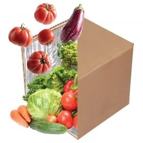 Cutie Termoizolanta Fresh Pack Kit Lungime 210 mm, Latime 210 mm, Inaltime 300 mm, Utilizare Termoizolant, Culoare Natur-Cuti...