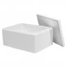 Cutii Termoizolante EPS Pentru Transport Dimensiune Interioara 560 x 360 x 410 mm, Grosime Perete 20 mm, Material EPS, Volum ...